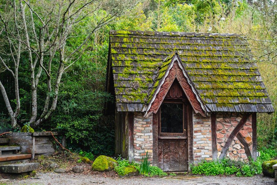 Démoussage toiture : prix, traitement et hydrofuge 2026