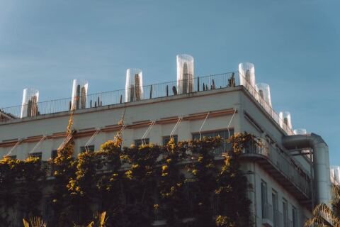 Toiture végétalisée : prix, types, avantages et entretien réel