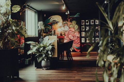 Studio de jardin ou tiny house : prix et règles 2026